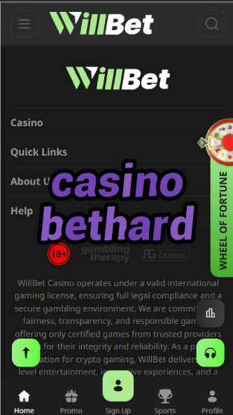 Casino Bethard - Premium Scandinavian Casino Brand-bigbonuscasinos.casinoorder.vip